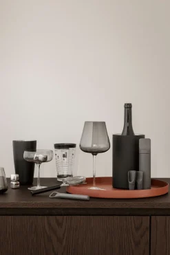 Blomus - 4- pc Wine Accessories Set - ILO - Magnet