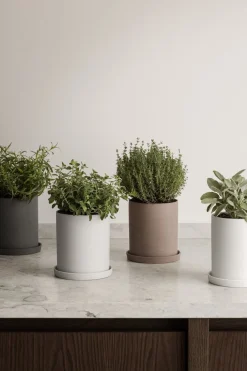 Blomus - Herb Pot - Micro Chip - NONA