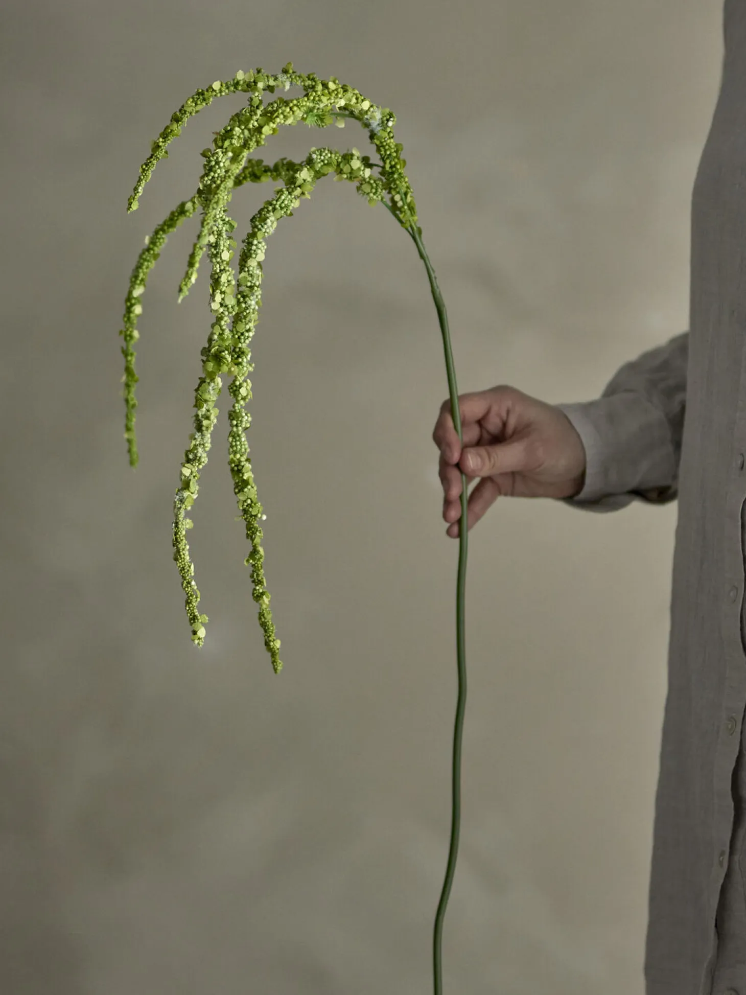 Bloomingville - Foxtail Kunstig stilk - Grøn, Plastik