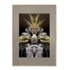 ChiCura - Vintage Reflection CC1 - 50/70