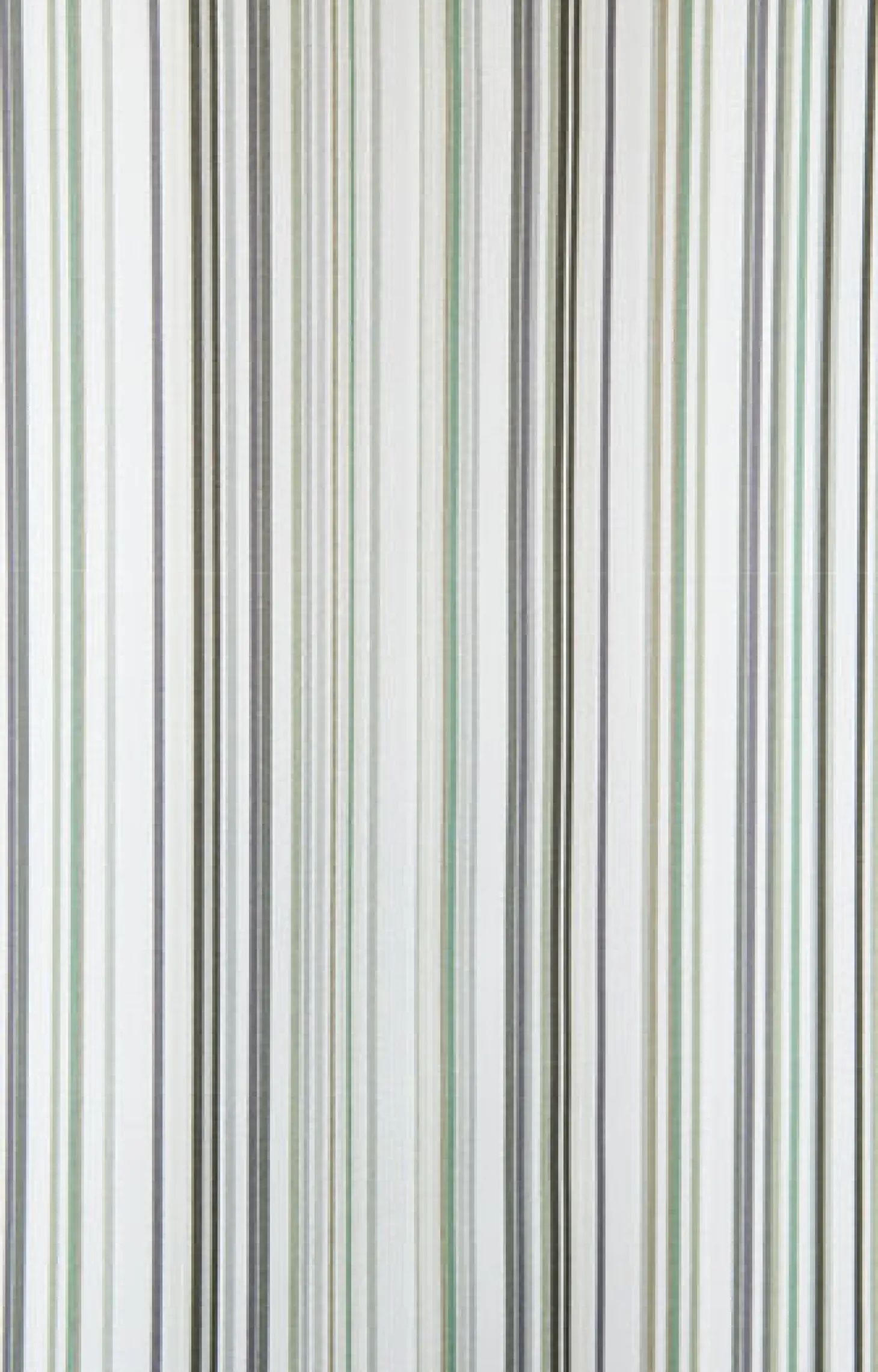 Compliments - Badeforhæng - Spectrum shower curtain w/tape 200 cm - Grøn