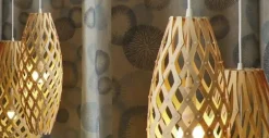 David Trubridge - Hinaki H: 50 cm - Bamboo