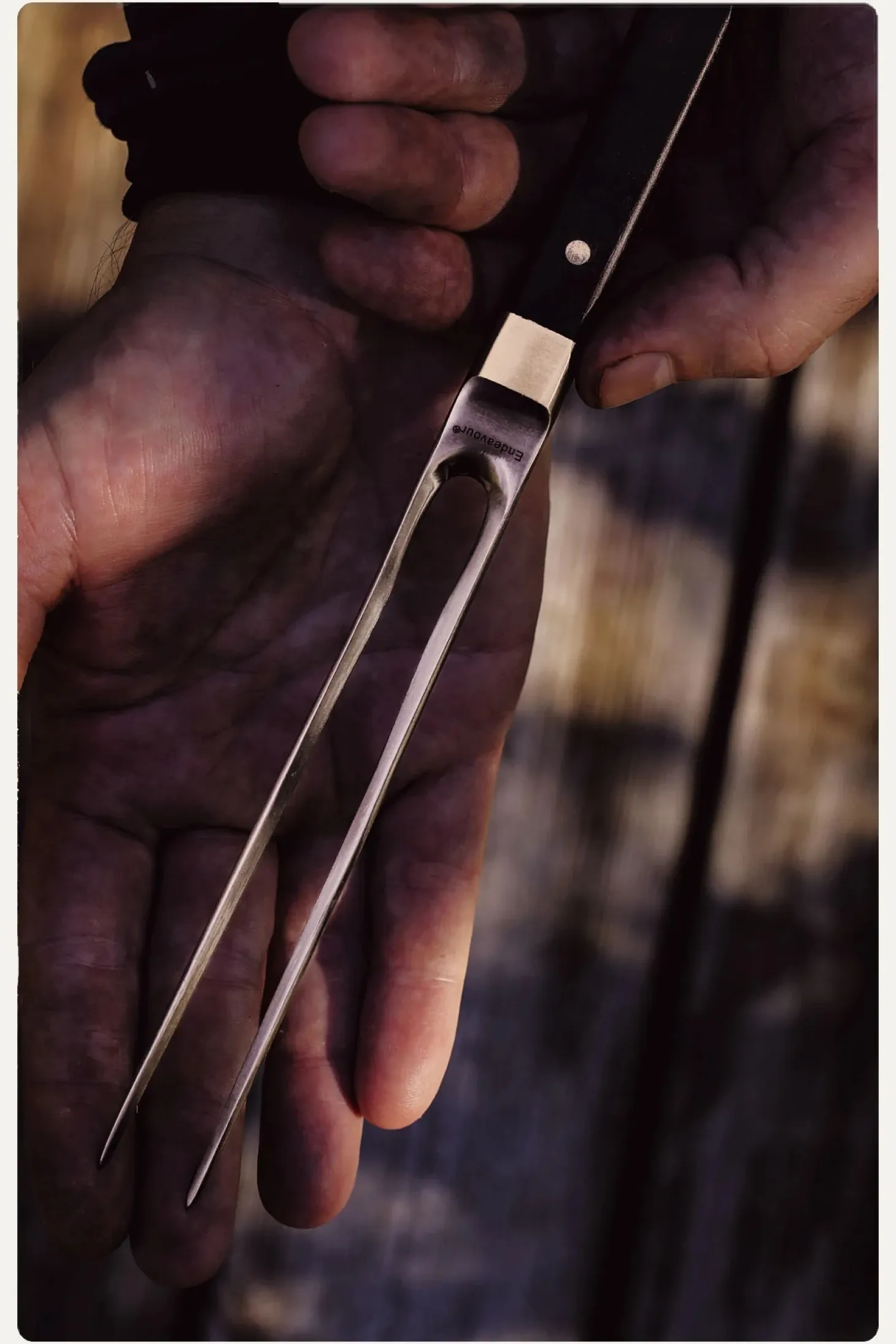 Endeavour - C-Fork Stegegaffel