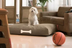 Fatboy - Doggielounge - Canvas Recycled - L - Taupe Grey