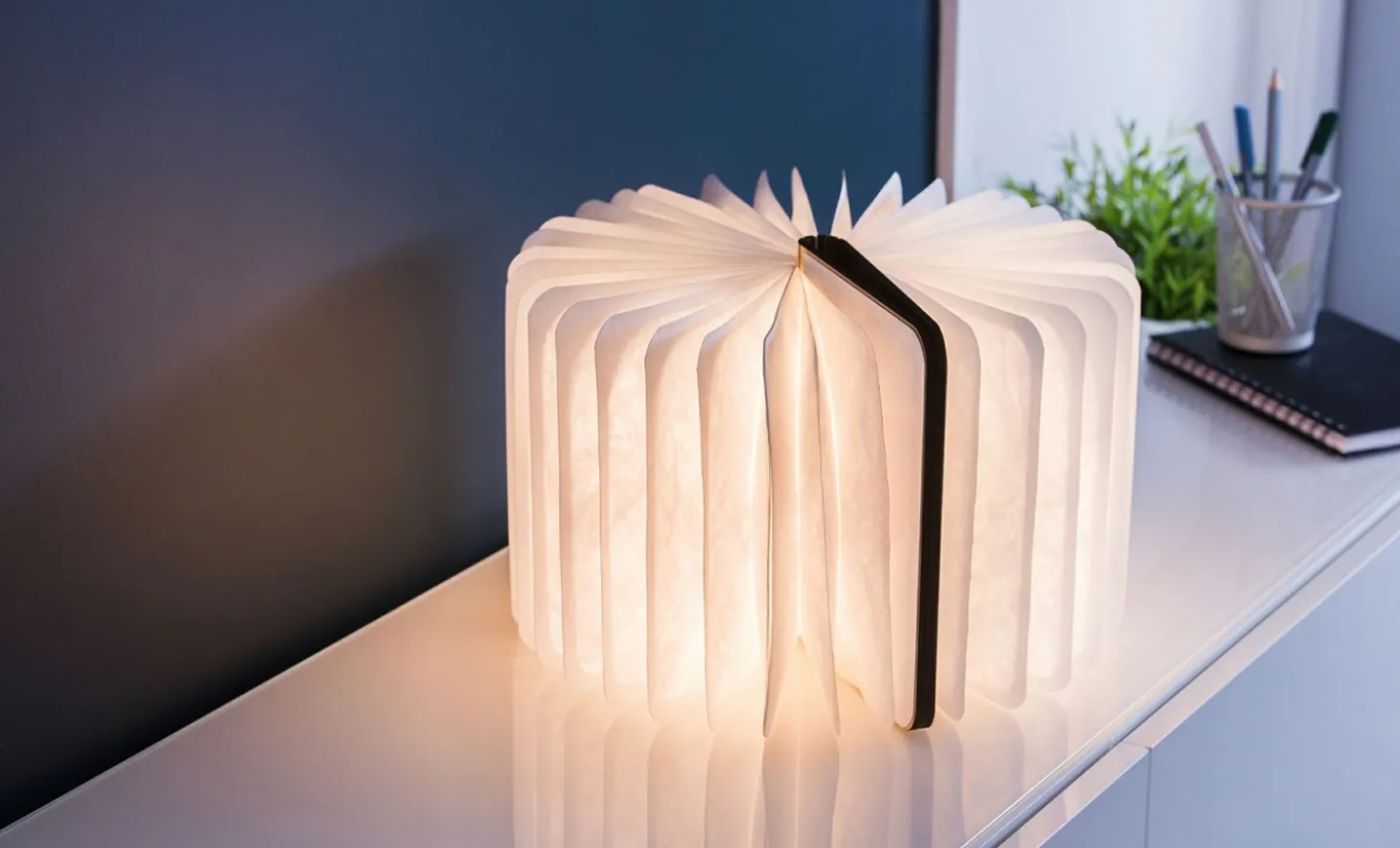 Gingko - LED Smart Booklight - Maple - Large