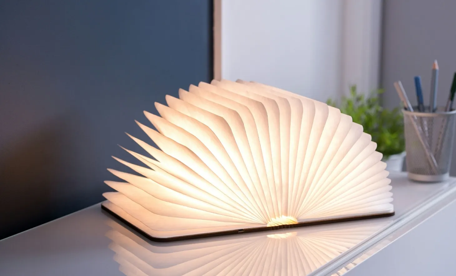 Gingko - LED Smart Booklight - Maple - Large