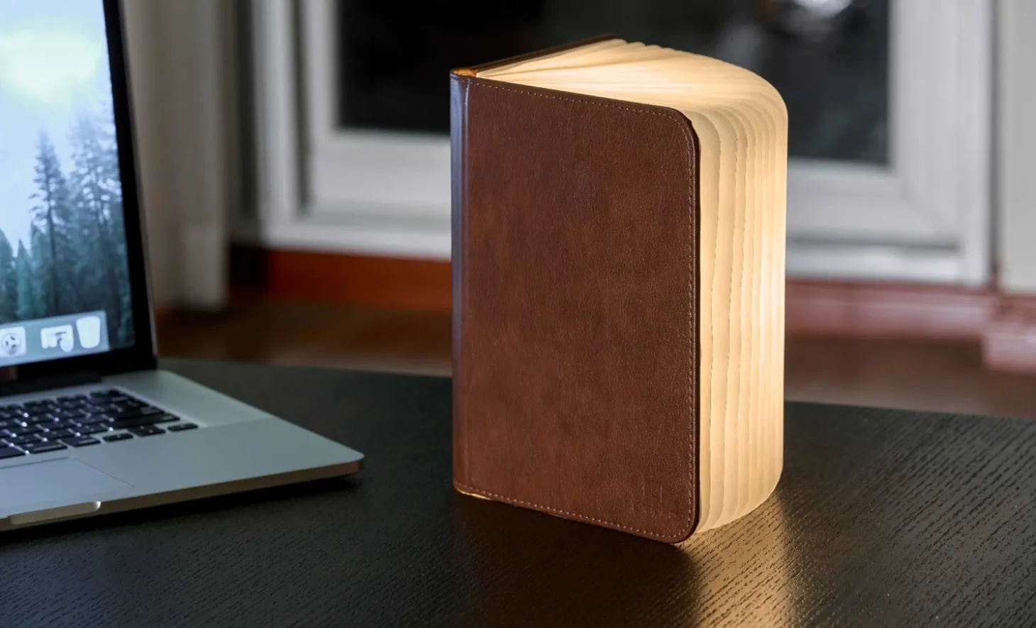 Gingko - LED Smart Booklight - Brown Leather - Large
