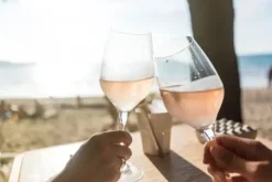 glassFORever - Vinglas - Brudsikkert Plastik - 28cl