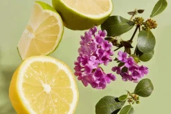 Haan - Håndsprit - Purifying Verbena - 30 ml