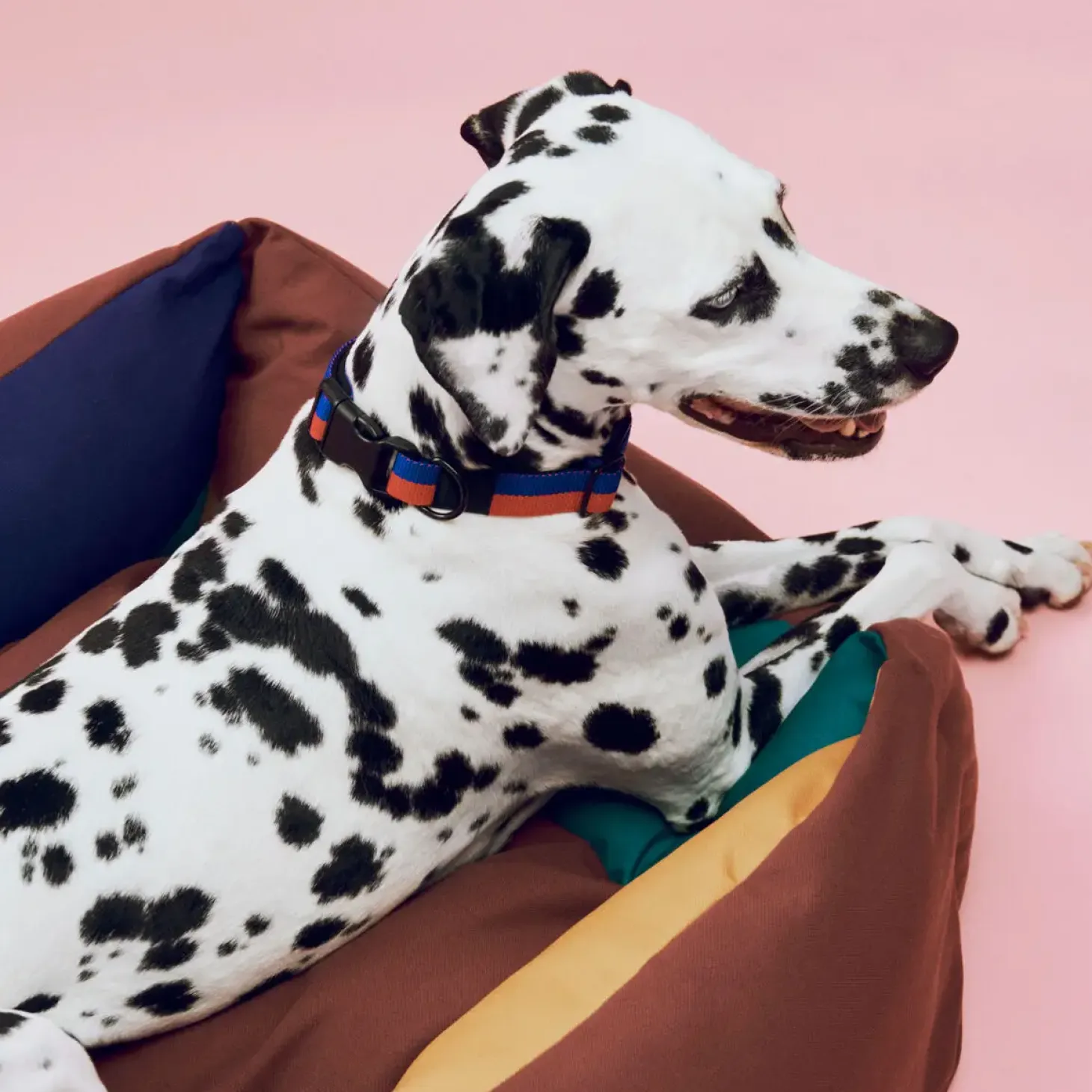 Hay - HAY Dogs Bed Zip - Large - Blå/Hvid