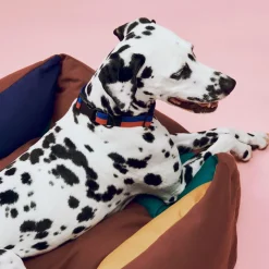 Hay - HAY Dogs Bed Zip - Small - Blå/Hvid