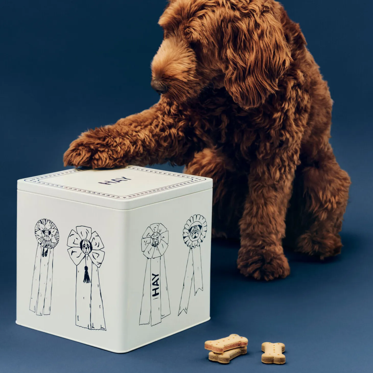 Hay - HAY Dogs Food Storage Tin - Large - Blå/hvid