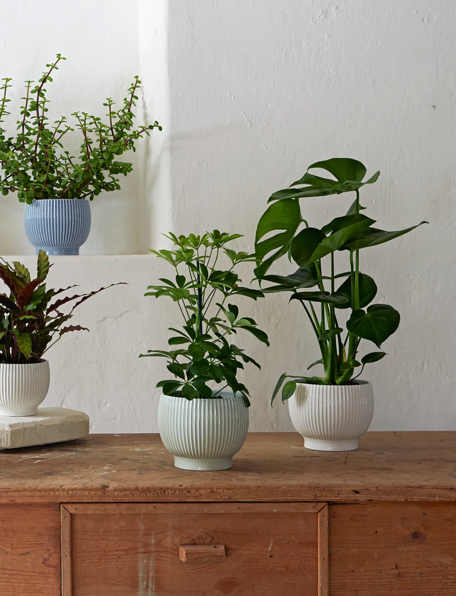 Knabstrup Keramik - urtepotteskjuler Ø 18 cm ripple mint