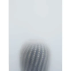 Kristina Dam - Ball Cactus I - poster 50x70 cm