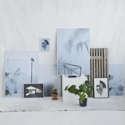 Kristina Dam - Ball Cactus I - poster 50x70 cm