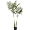 Lene Bjerre - Flora kentia palme H185 cm. grøn