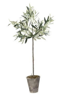 Lene Bjerre - Oliventræ Flora - 73 cm.