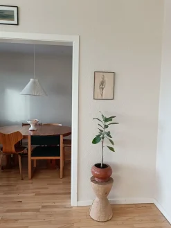 Noeje - Skammel - GRY af KATHOLM, Eg