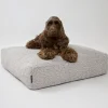 Nordog - Billy Bouclé hundepude Taupe - large