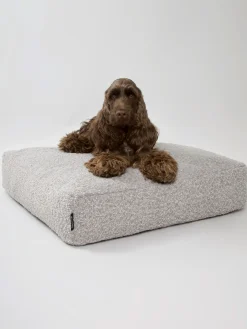 Nordog - Billy Bouclé hundepude Taupe - large