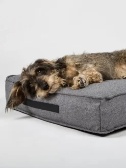 Nordog - Hundepude HYGGE Anthracite - medium