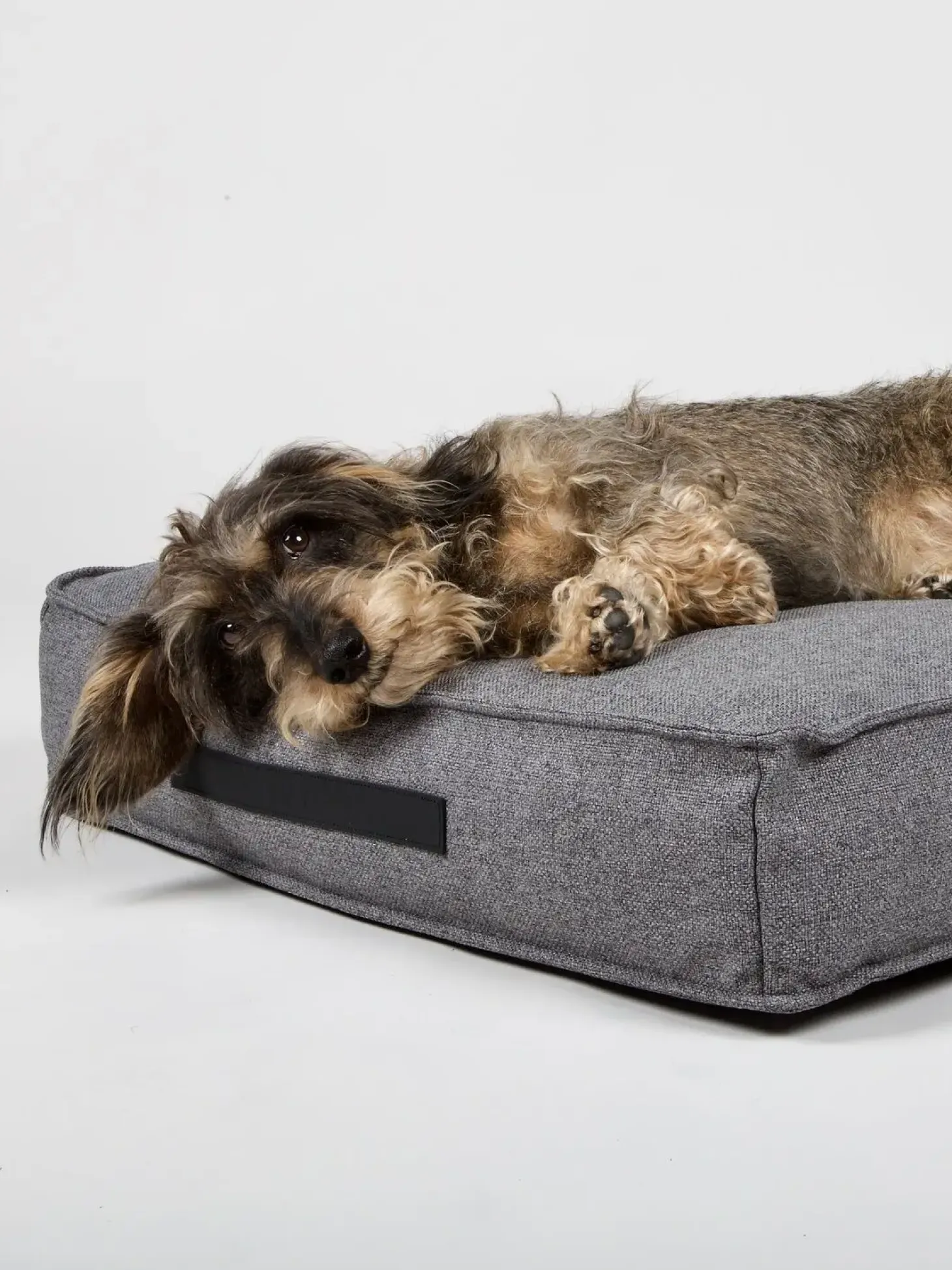 Nordog - Hundepude HYGGE Anthracite - medium