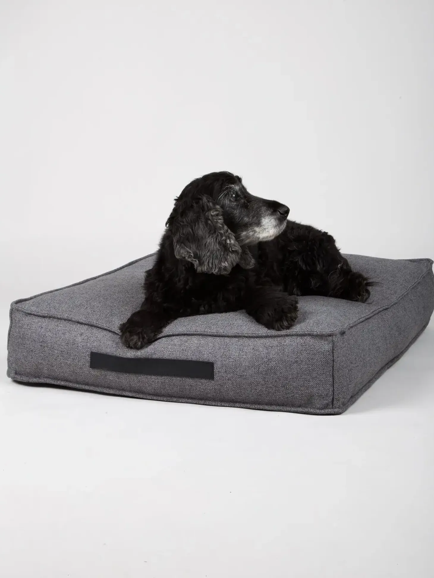 Nordog - Hundepude HYGGE Anthracite - medium