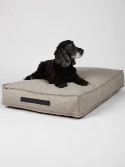 Nordog - Hundepude HYGGE Cappuccino - medium