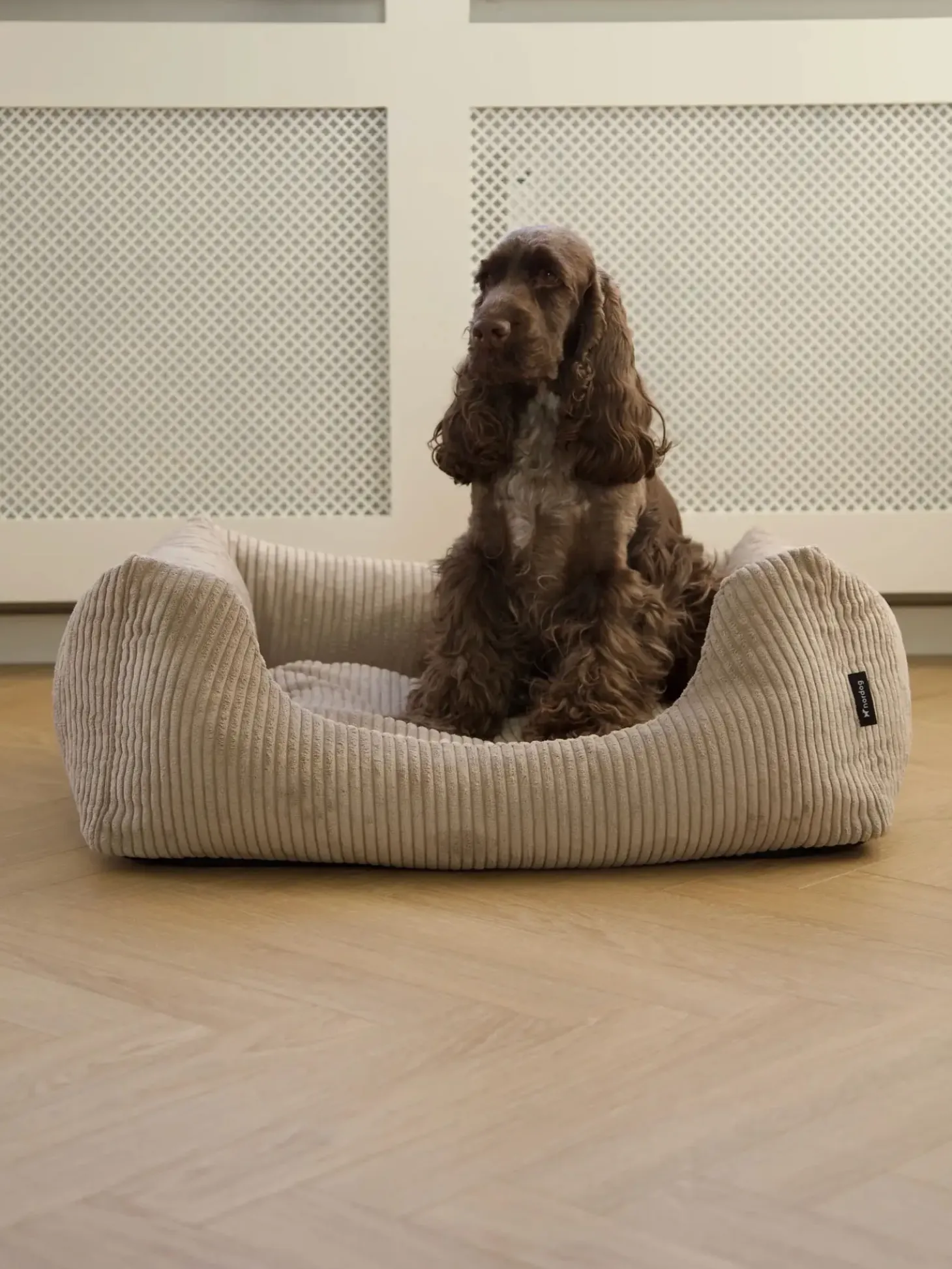 Nordog - Hundeseng - Oscar - Velvet - Cappuccino - Large