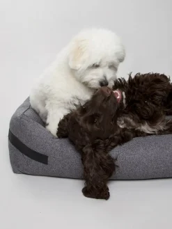 Nordog - Hundeseng HYGGE Anthracite - medium