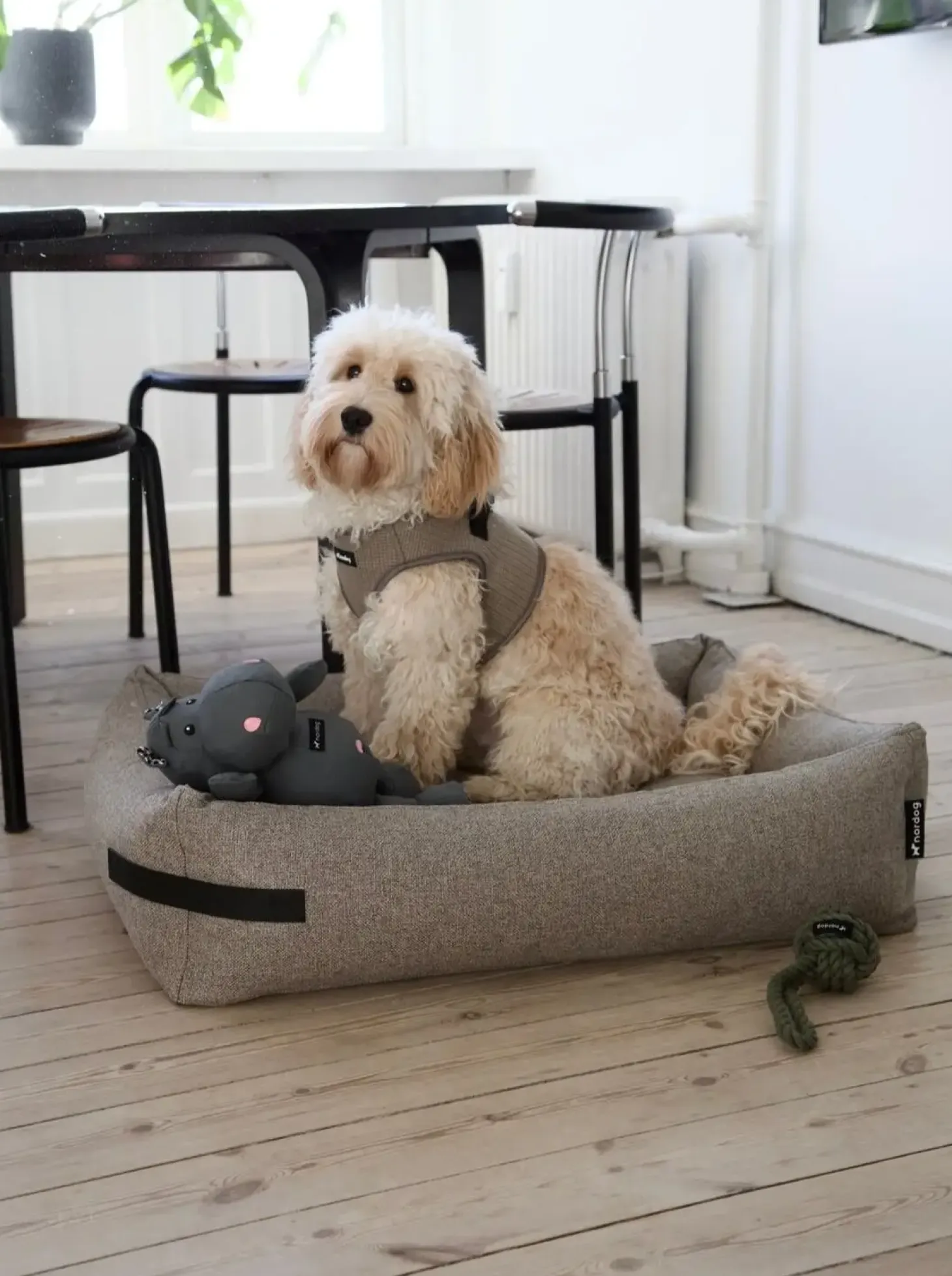 Nordog - Hundeseng HYGGE Cappuccino - medium