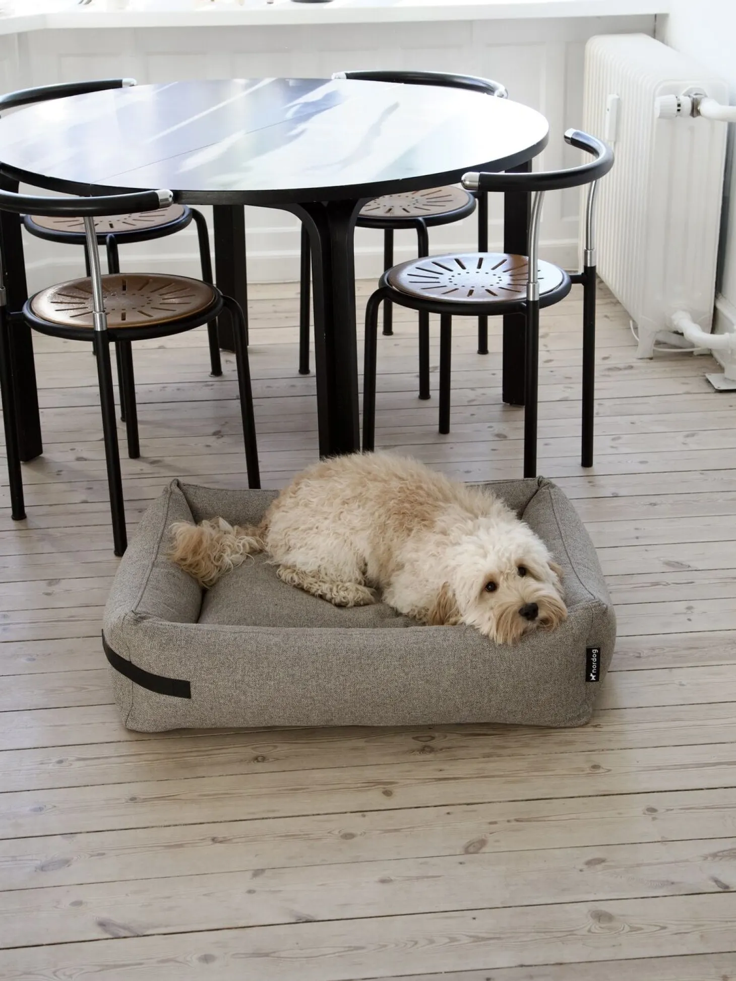 Nordog - Hundeseng HYGGE Cappuccino - medium