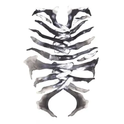 Paradisco Production illustration - ARMOUR A3