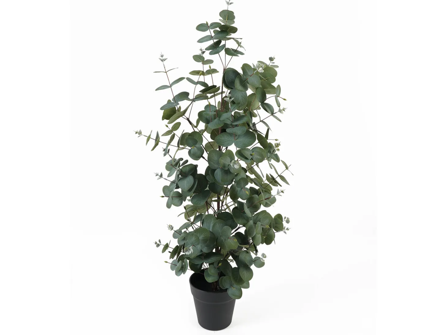 Present time - Artificial plant Eucalyptus Leaf large