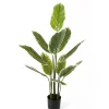 Present time - Artificial plant Calathea large
