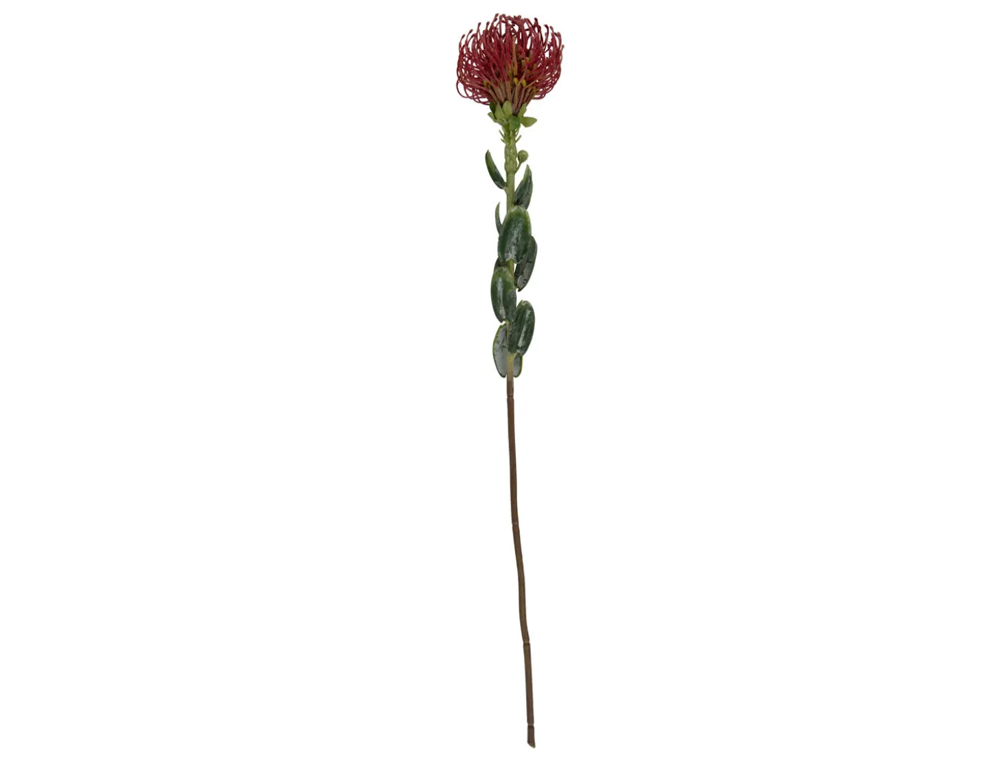 Present time - Artificial plant Protea Flower large burgundy red