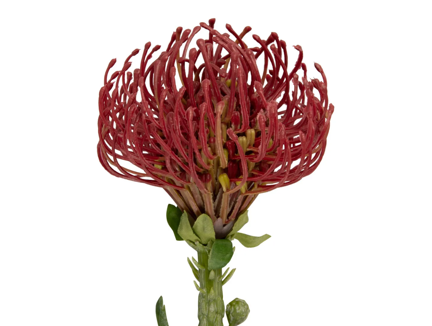 Present time - Artificial plant Protea Flower large burgundy red