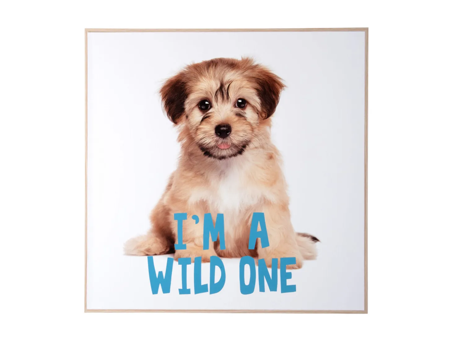 Present time - Wall art puppy I'm A Wild One blue