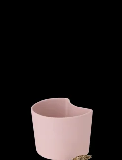 RIG-TIG - YOUR TREE plantepotte med birkefrø pink