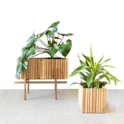 SQUARELY COPENHAGEN - Plantekasse - GrowWIDE - Ask Natur