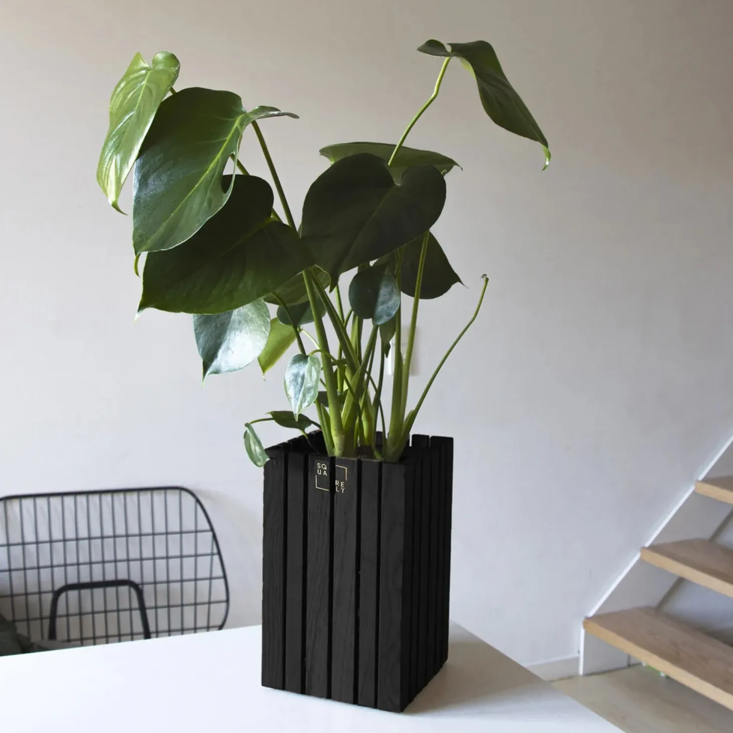 SQUARELY COPENHAGEN - Plantekasse - GrowSMALL - Ask Sort