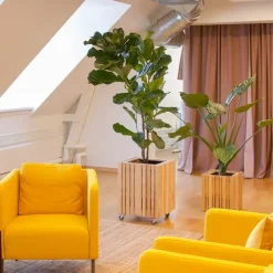 SQUARELY COPENHAGEN - Plantekasse - GrowBIG - Ask Natur
