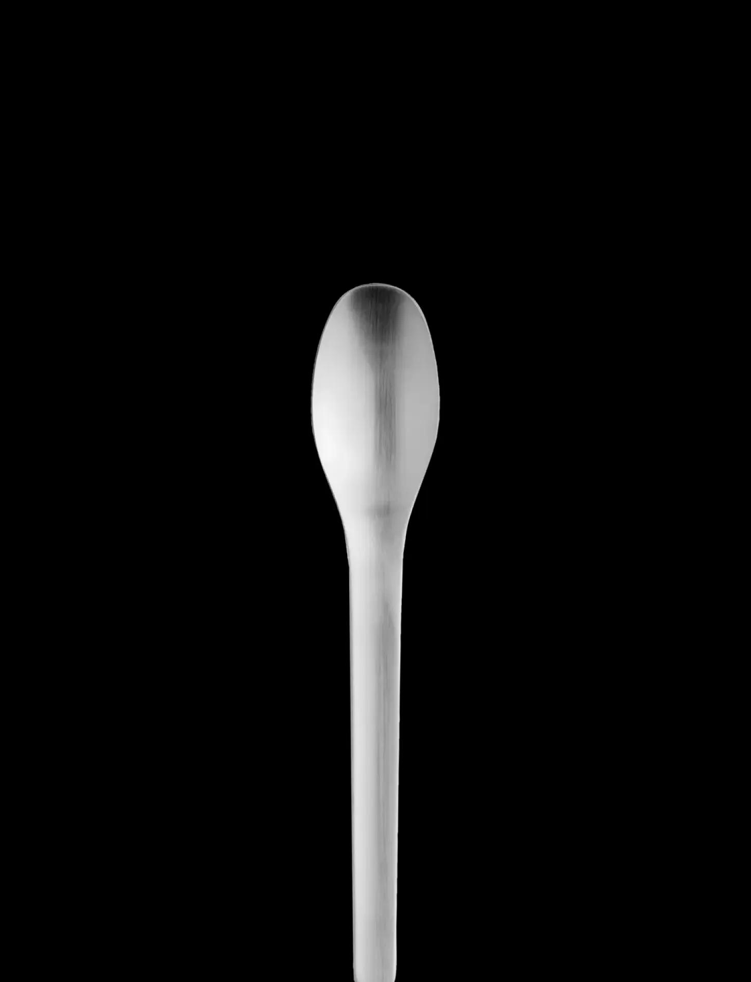 Stelton - EM middagsske steel