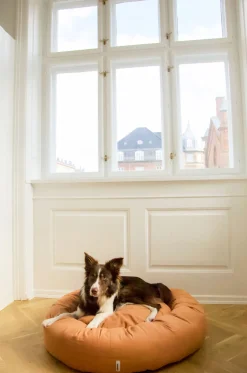 Tadazhi - Donut hundeseng - Lysebrun - Str. L