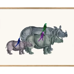 The Dybdahl - Plakat 30x40 cm. - Rhinos and Birds - Papir