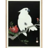 The Dybdahl - Plakat 30x40 cm. - Cockatoo & Pomegranate - Papir
