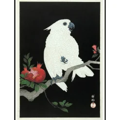 The Dybdahl - Plakat 30x40 cm. - Cockatoo & Pomegranate - Papir