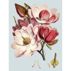 The Dybdahl - Plakat 30x40 cm - Pink Flower - Papir