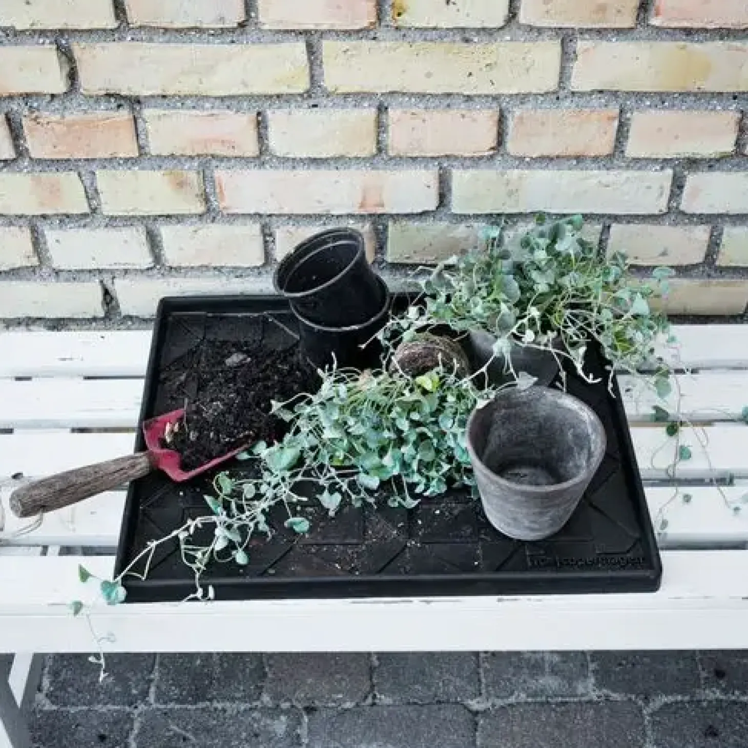 Tica Copenhagen - Leaves Design Skobakke - Small