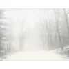 VISSEVASSE - Peregrination plakat 50 x 70 cm